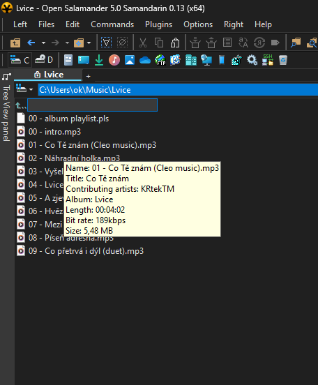Panel item info tooltip with media details